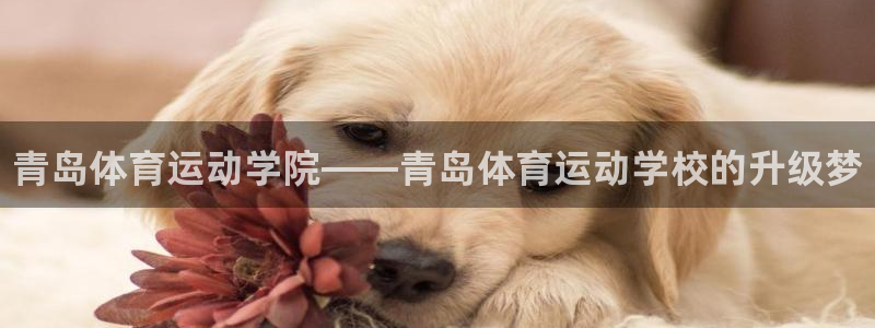 MK体育官网下载招商电话地址：青岛体育运动学院——青