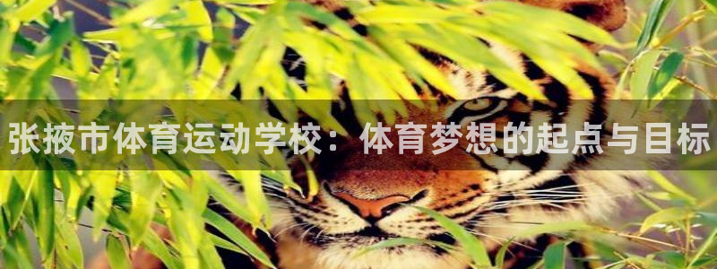 MK体育官网下载平台APP：张掖市体育运动学校：体育