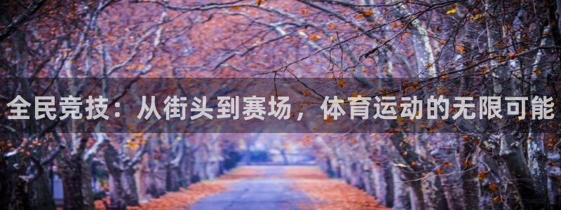 MK体育官网下载平台假的吗是真的吗吗：全民竞技：从街