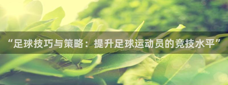 MK体育官方正版app集团简介：“足球技巧与策略：提