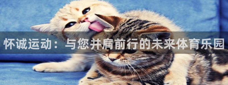海南MK体育官网下载：怀诚运动：与您并肩前行的未来体