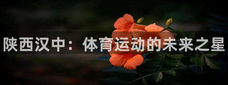 MK体育官网下载平台注册要钱吗是真的吗：陕西汉中：体