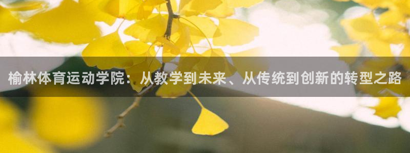 MK体育官网下载招商电话号码是多少号：榆林体育运动学