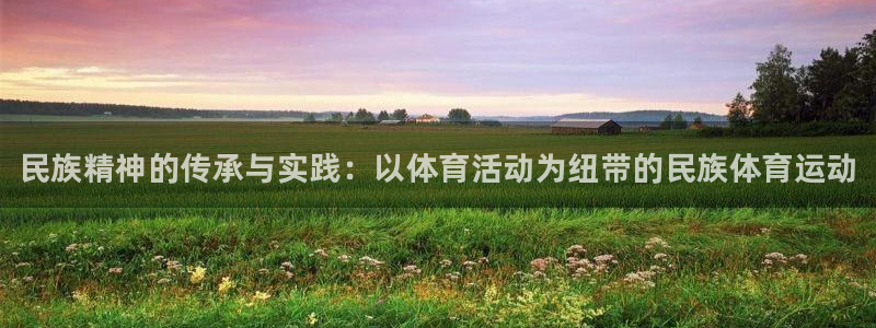 MK体育官网下载：民族精神的传承与实践：以体育活动为