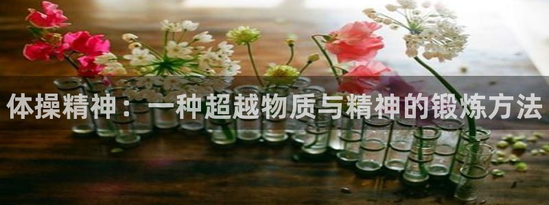 MK体育官方正版app官网：体操精神：一种超越物质与