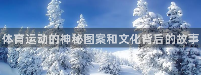 MK体育官网下载官方客服电话：体育运动的神秘图案和文