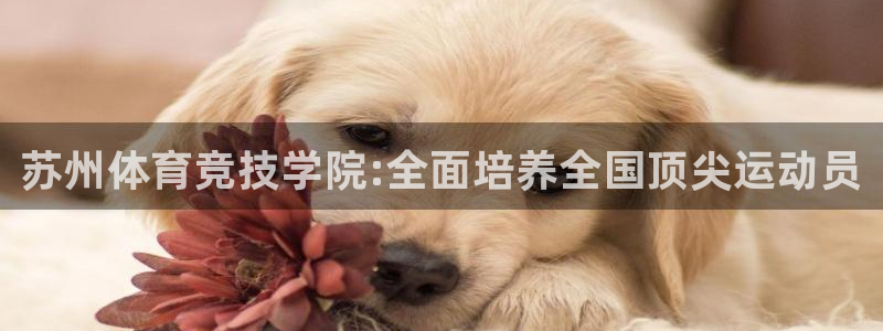 MK体育官网下载招商电话地址查询：苏州体育竞技学院: