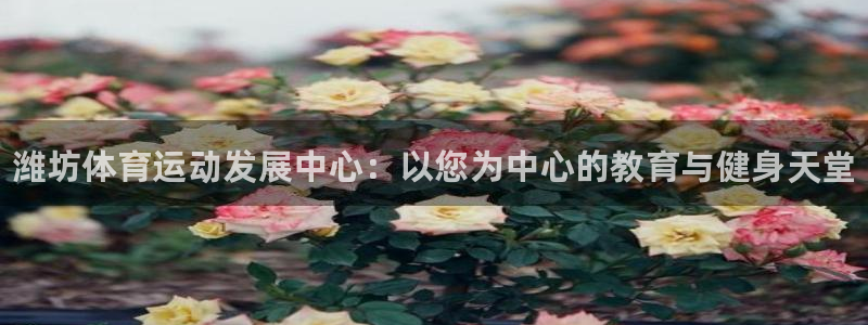MK体育官方正版app代理：潍坊体育运动发展中心：以您为中心