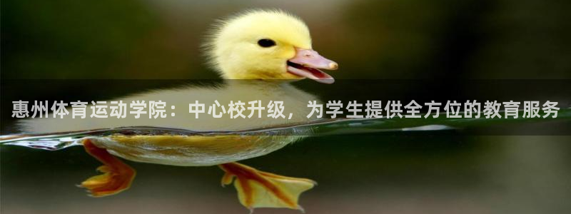 MK体育官方正版app神州：惠州体育运动学院：中心校升级，为