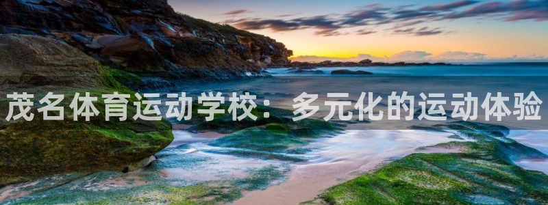 MK体育官方正版app集团logo：茂名体育运动学校：多元化