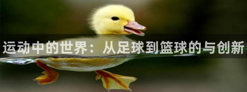 MK体育官方正版app集团简介：运动中的世界：从足球到篮球的