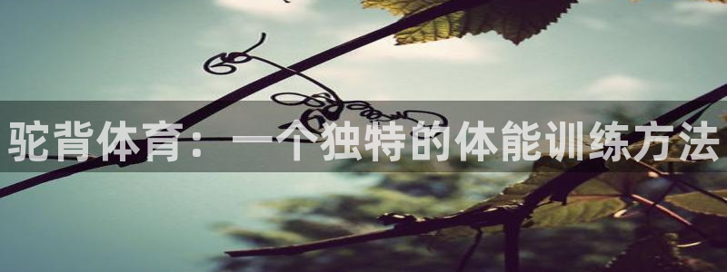 MK体育官方平台体育：驼背体育：一个独特的体能训练方法
