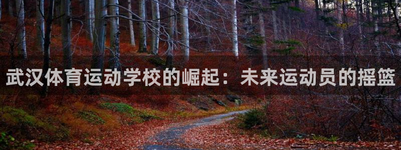 MK体育官方正版app官方：武汉体育运动学校的崛起：未来运动