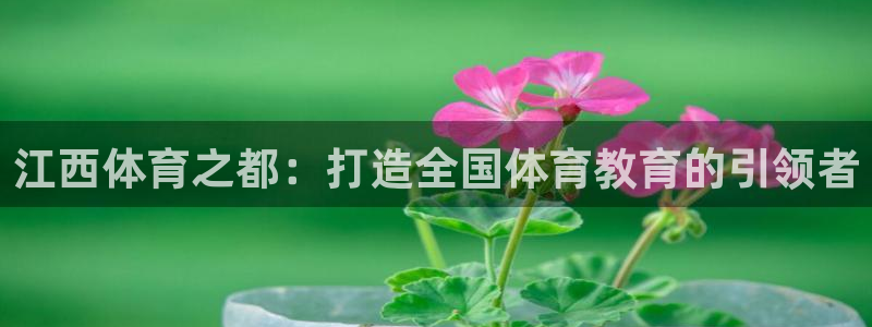 MK体育官网下载：江西体育之都：打造全国体育教育的引领者