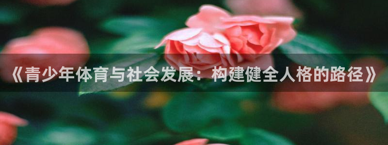 MK体育官网下载注册：《青少年体育与社会发展：构建健全人格的