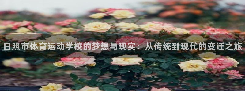 MK体育官网下载招商电话是多少啊