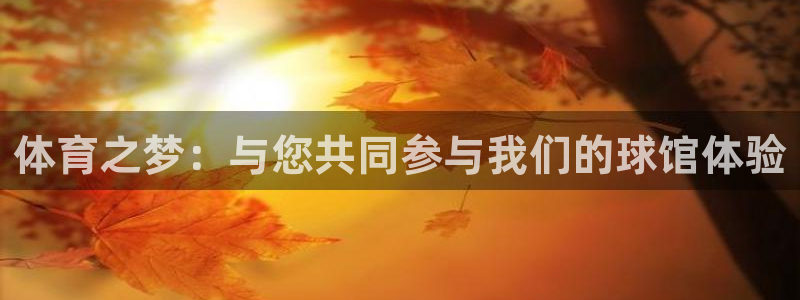 MK体育官方正版app集团：体育之梦：与您共同参与我们的球馆