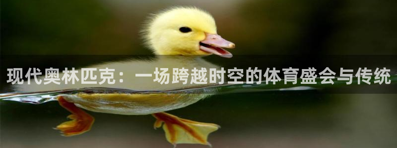 MK体育官方正版app娱乐下载