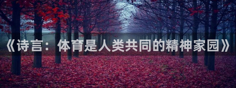 MK体育官方正版app开户：《诗言：体育是人类共同的精神家园