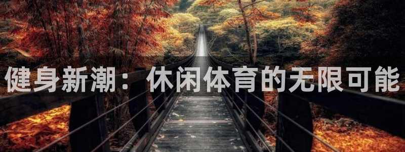 MK体育官方正版app五金厂：健身新潮：休闲体育的无