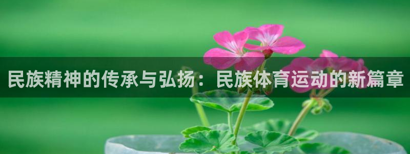 MK体育官网下载注册：民族精神的传承与弘扬：民族体育