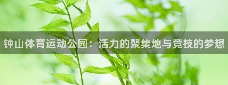 MK体育官方正版app娱乐平台：钟山体育运动公园：活