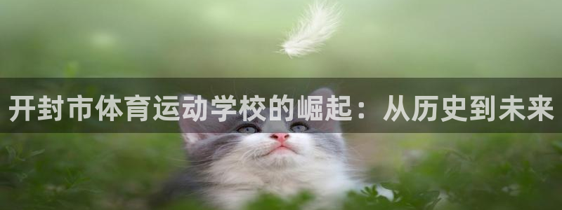 MK体育官网下载招商电话号码：开封市体育运动学校的崛起：从历