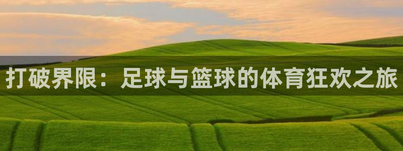海南MK体育官网下载：打破界限：足球与篮球的体育狂欢之旅