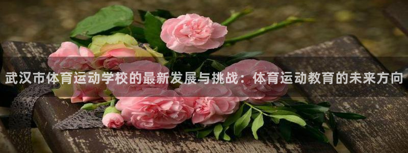 MK体育官网下载招商电话号码是多少