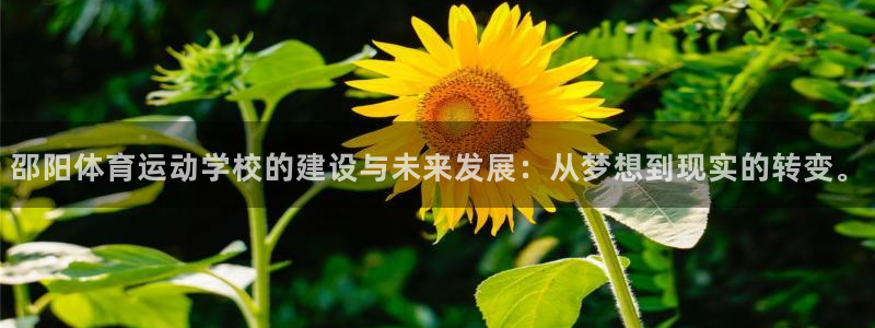 MK体育官网下载招商电话号码：邵阳体育运动学校的建设与未来发