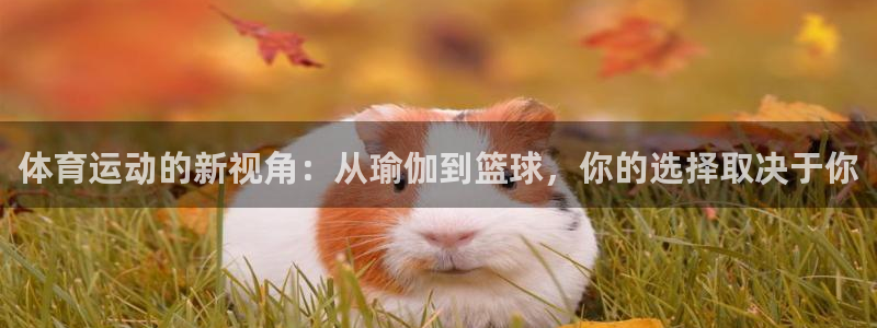  MK体育正规下载平台：体育运动的新视角：从瑜伽到篮球，你的选
