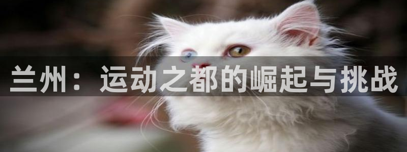 mk体育提现多久到账啊安全吗知乎文章