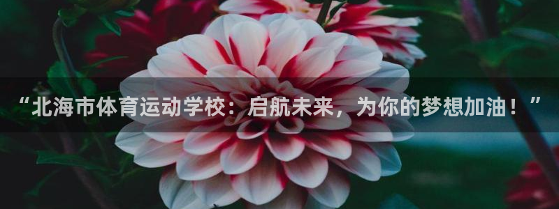 MK体育是正规的吗：“北海市体育运动