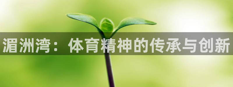 MK体育：湄洲湾：体育精神的传承与创新