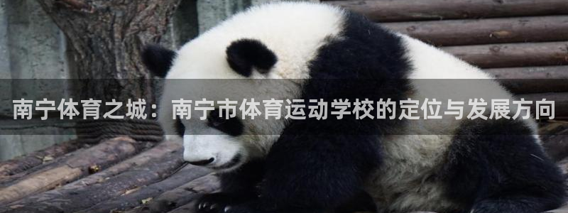 mk体育是黑台子吗是真的吗：南宁体育之城：南宁市体育运动学校