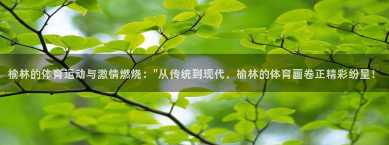 mk体育